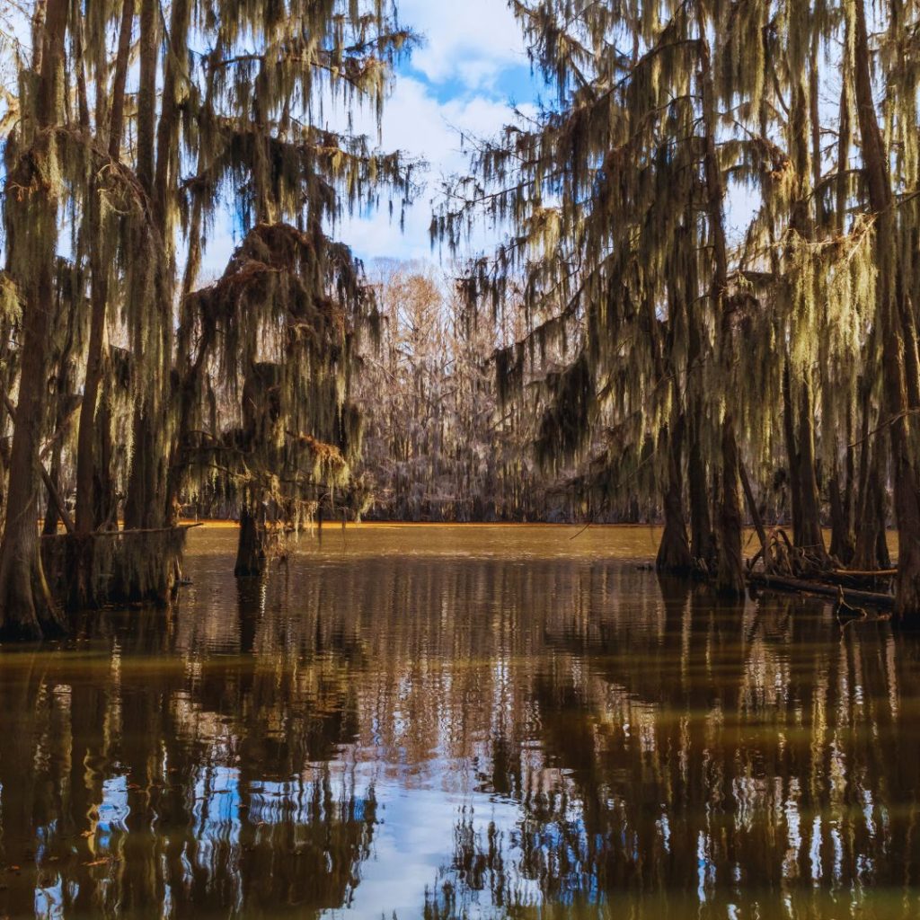 Caddo Lake State Park