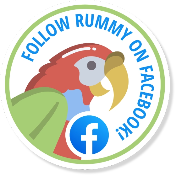 Facebook Rummy Logo